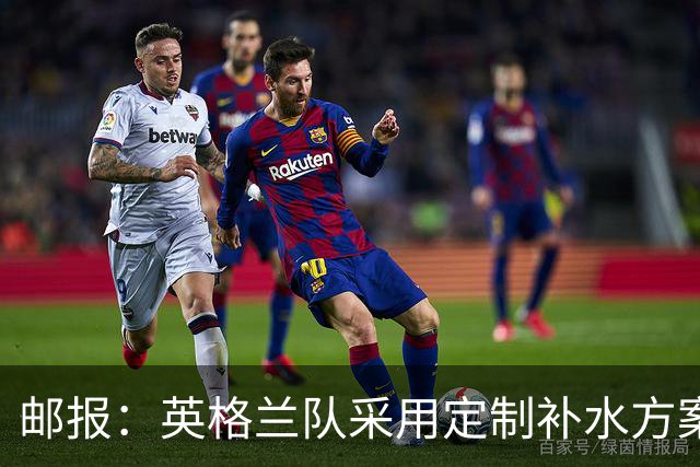 邮报：英格兰队采用定制补水方案应对高温，并为球员提供特制披萨